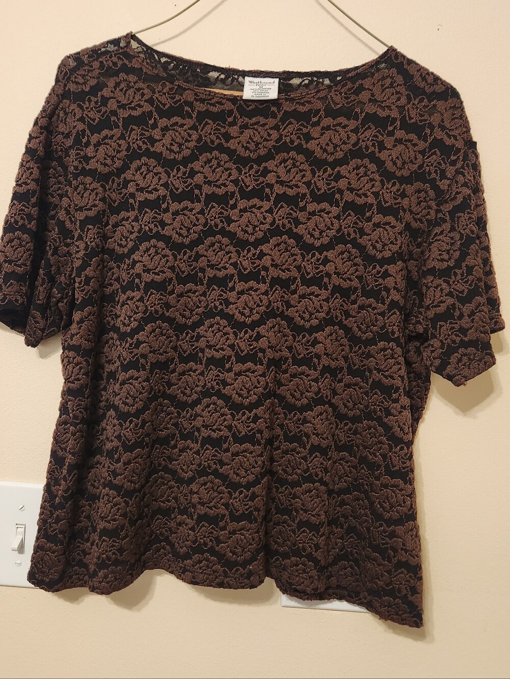 Westbound Brown Lace Overlay Short-Sleeve Top on Black